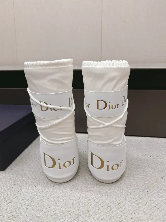 Dior Shoe 